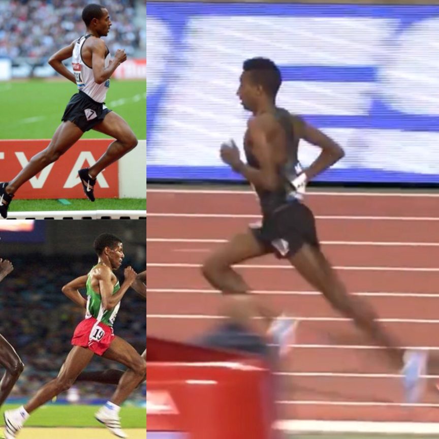 Throwing the Cat Amongst The Pigeons | Peal Sports Performance Coaching